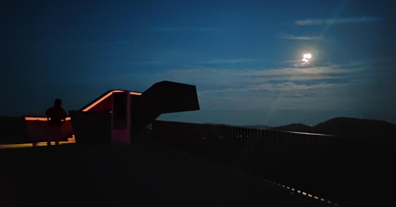 Villa D'Uvale Douro อลิโช ภายนอก รูปภาพ